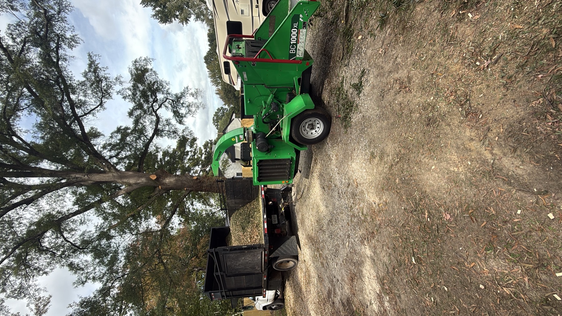 Tree service project photo 2