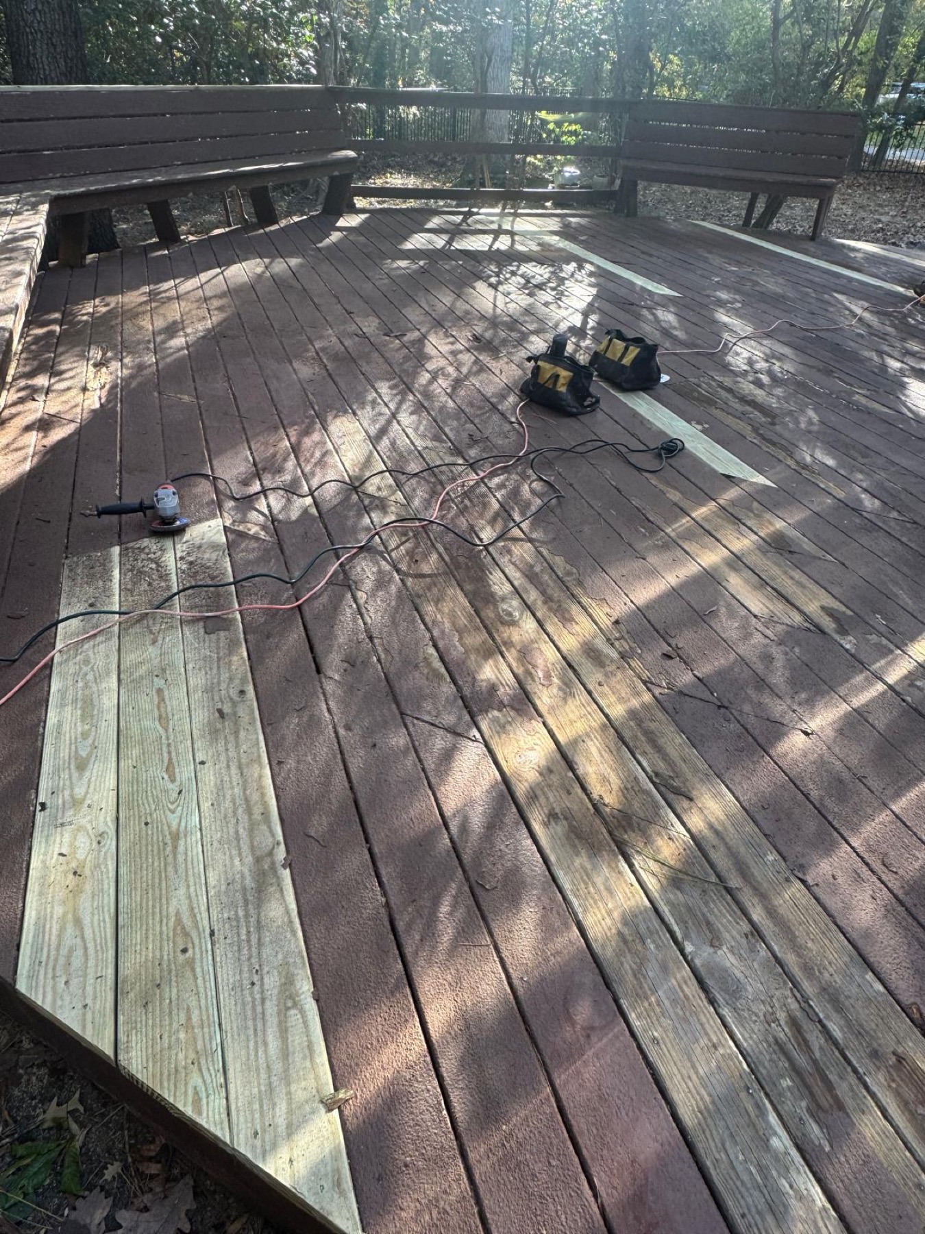 Tree service project photo 5