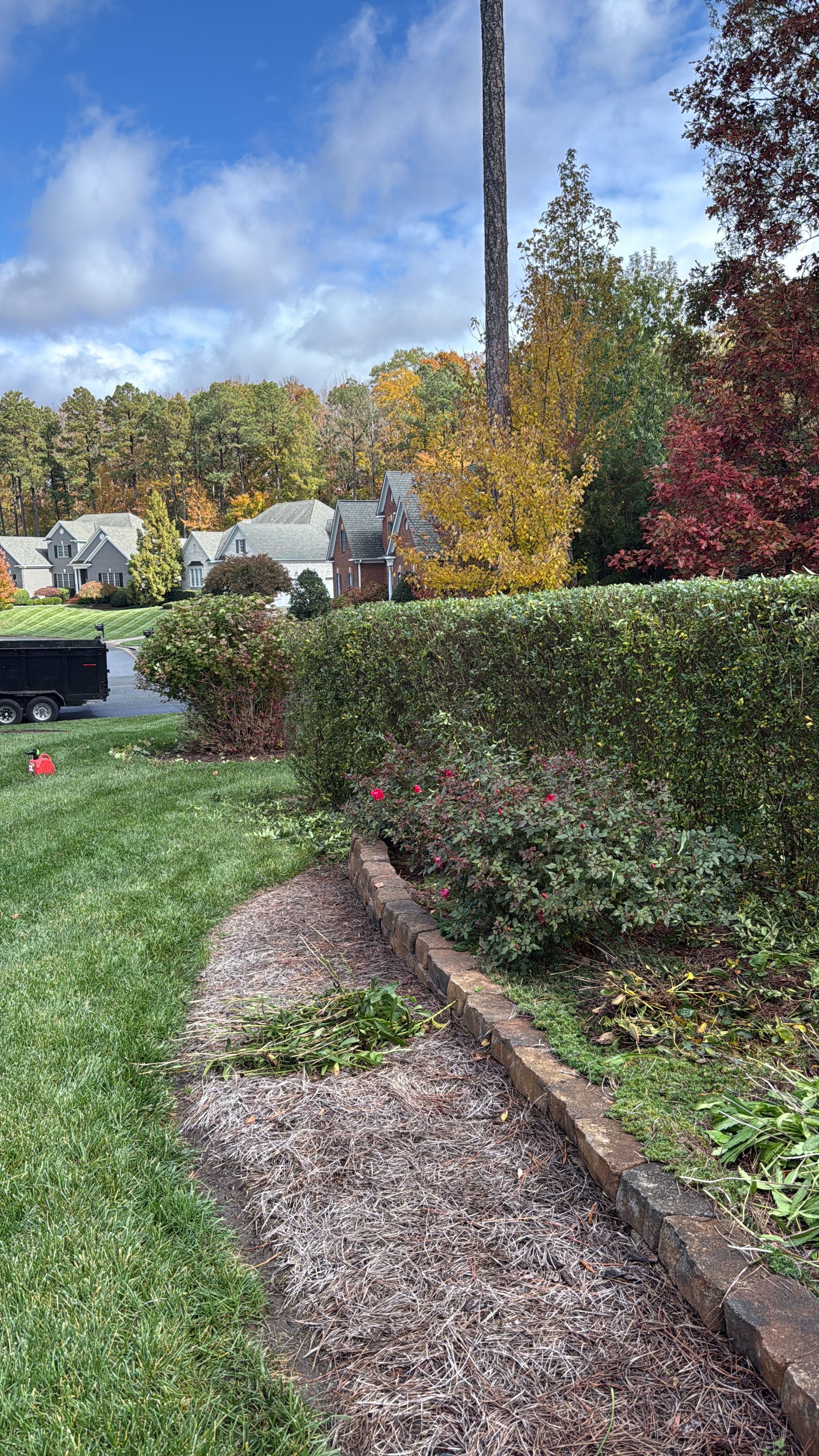 Beautiful landscaping with trimmed hedges in Midlothian VA